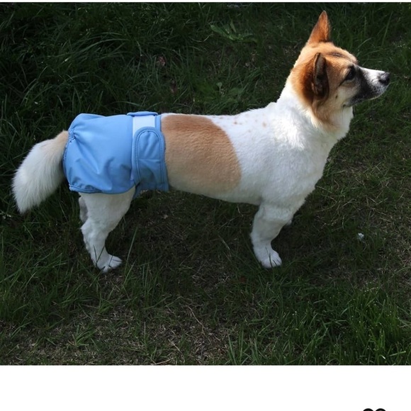 Joy Daog Female Dog Diapers for Small Dogs,3 Pack Reusable Washable Premium - Picture 1 of 16